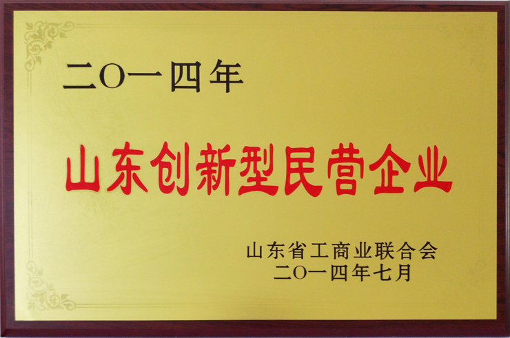 山東工商業(yè)聯合會頒發(fā)：山東創(chuàng)新型民營企業(yè)